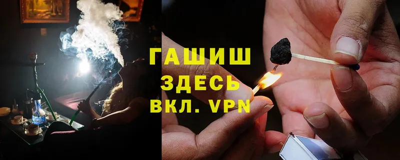 ГАШ Premium Галич